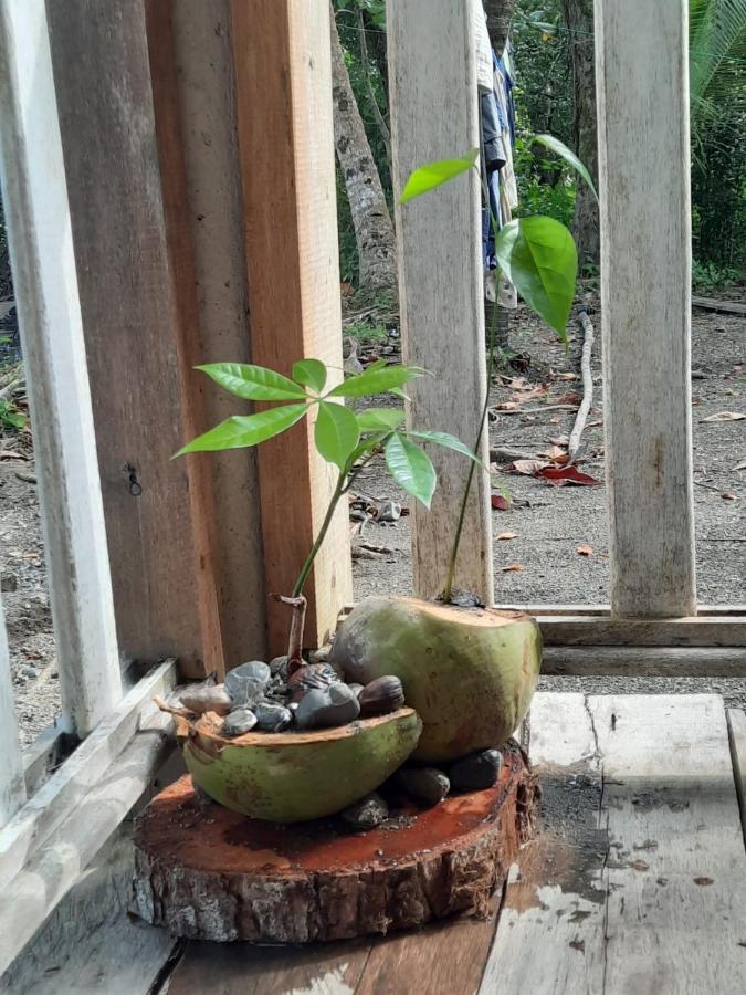Casa Manati Hotel Livingston Bagian luar foto