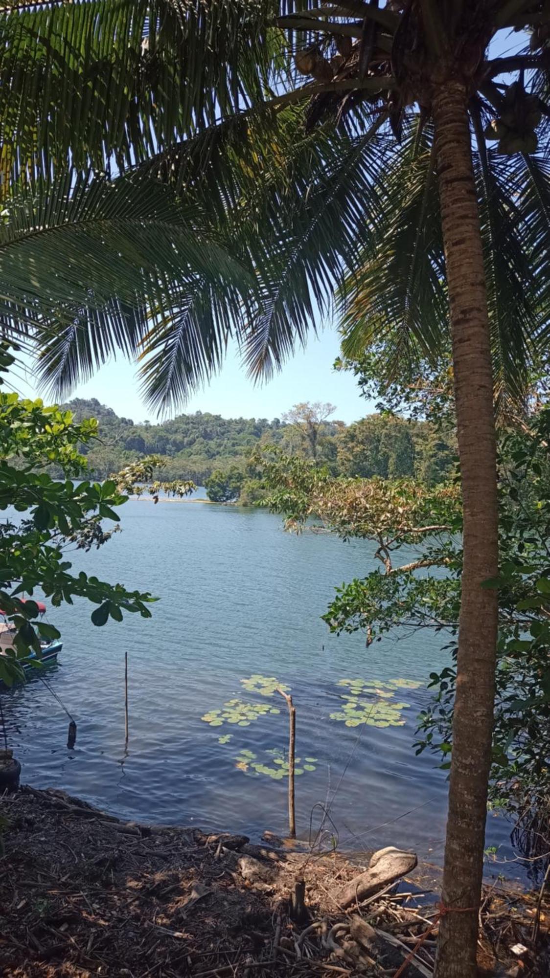 Casa Manati Hotel Livingston Bagian luar foto