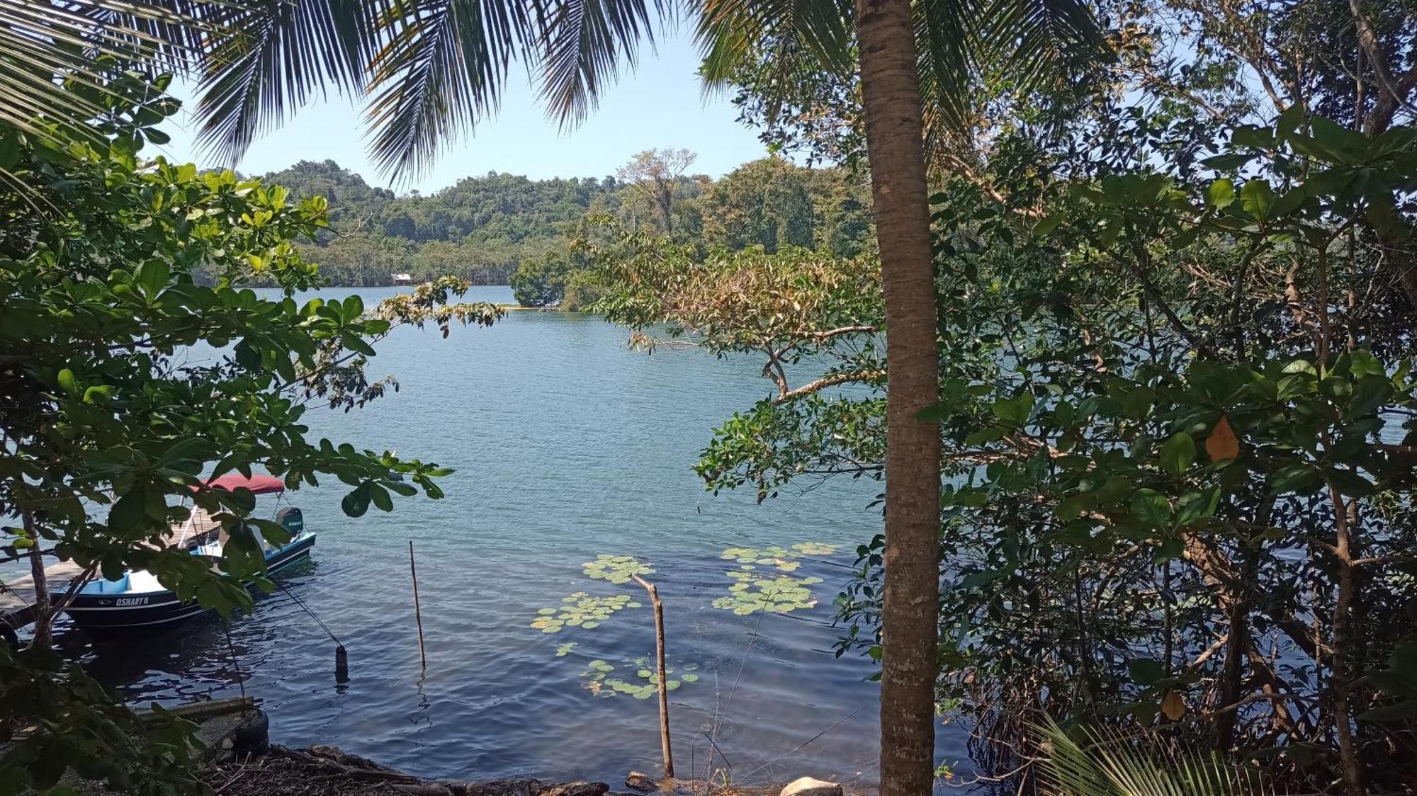 Casa Manati Hotel Livingston Bagian luar foto